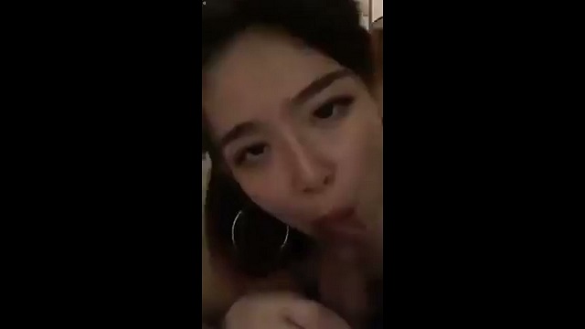 Chó đực đang Chơi Doggy